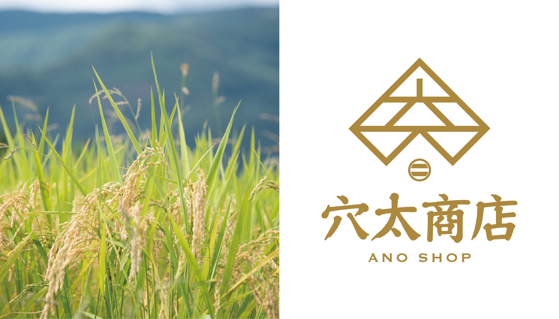 祇園辻利プロデュース「ぶぶる」から、やみつき必至の新感覚おやつ『うまみの実』が個包装で新登場！話題の“食べるだし”で、京都土産に“塩味”革命。