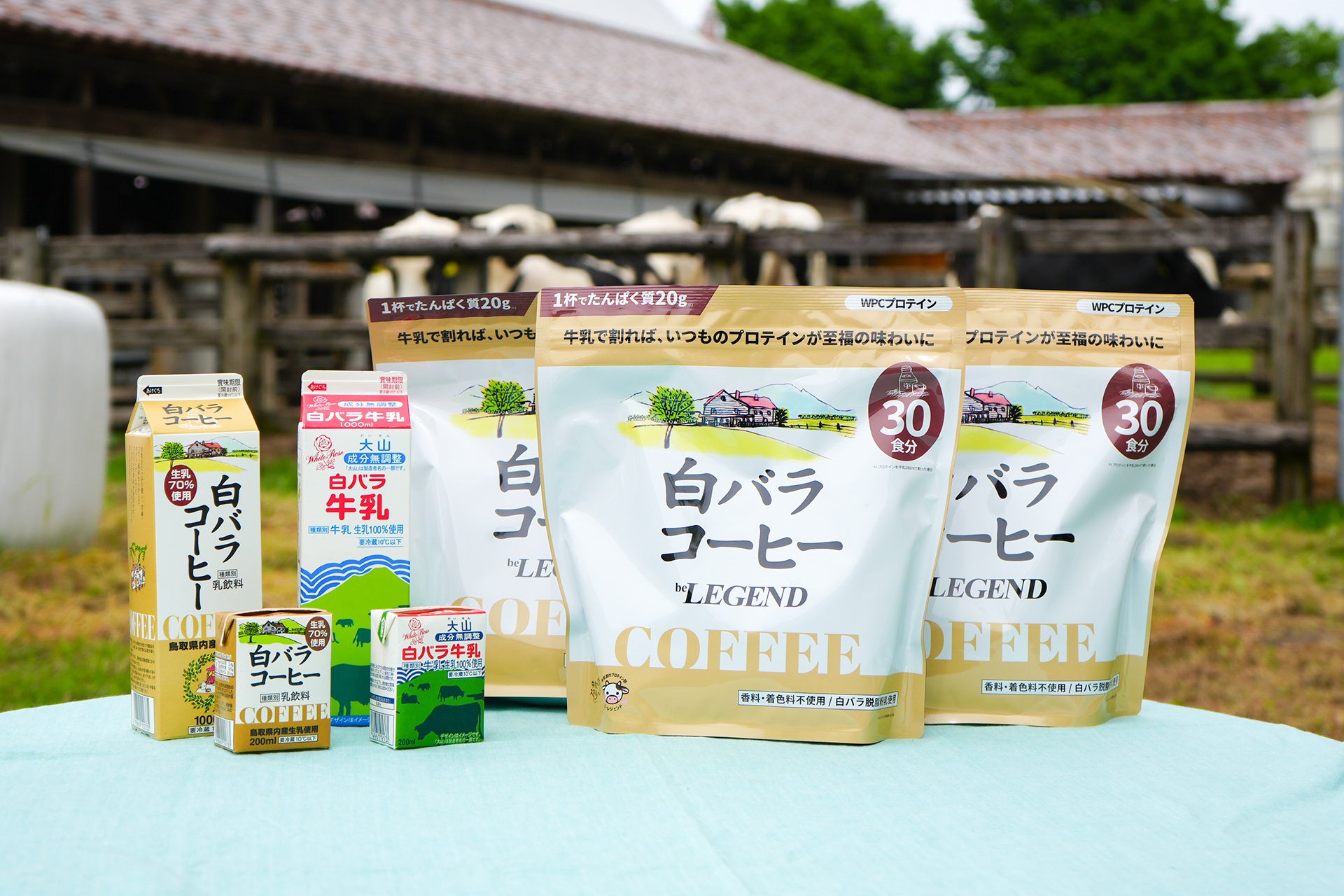 「HIROSHIMA CONTI-NeW Fes 2025」ダンスイベント「FAVE PARK」✖️「LIMITMAKE SP」開催決定