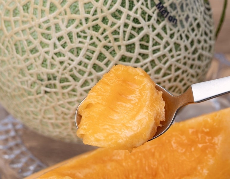 ブルゴーニュの隠れた逸材「アントワーヌ・ジョフロワ」のワイン、新規取り扱い開始