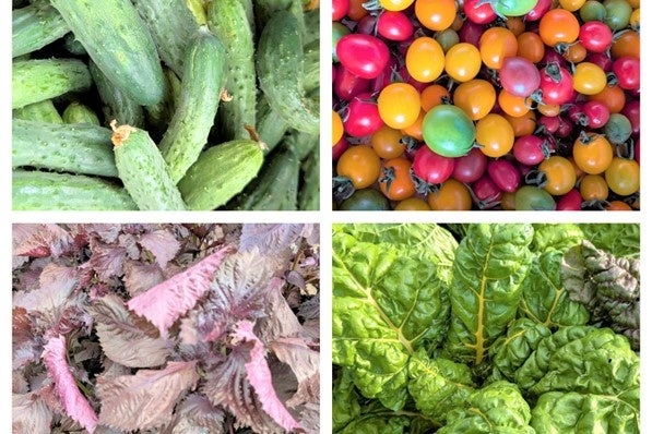 芸人宮迫博之監修「オムサコライス西脇店」が兵庫県西脇市に2025年7月19日（土）オープン！