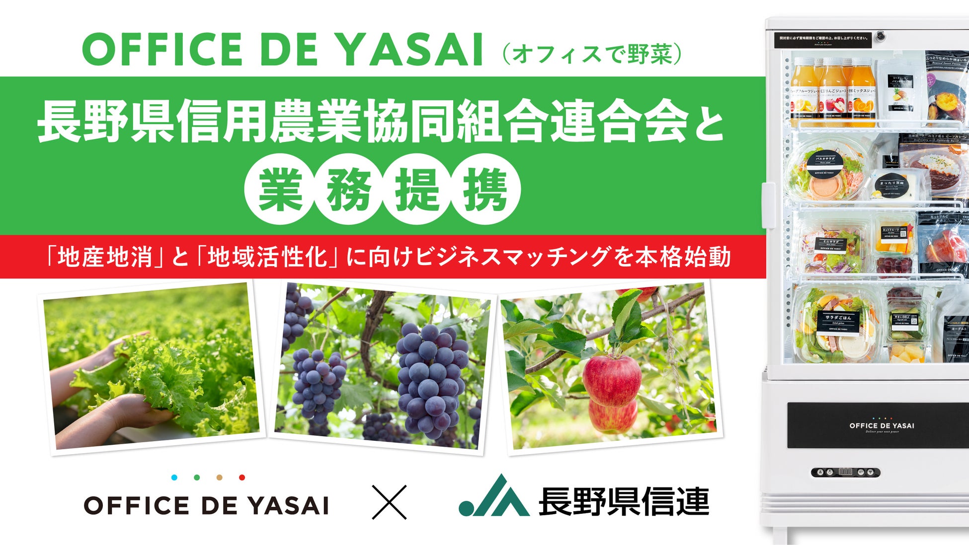 投資ポートフォリオに仮想通貨をどれだけ入れるべきか？