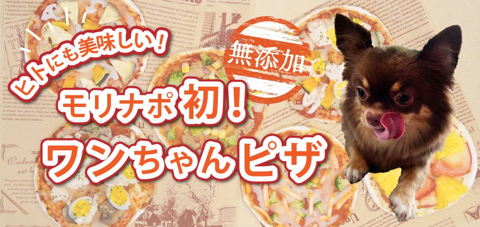 在日イタリア商工会議所主催全国イタリア料理コンクール2025開催決定