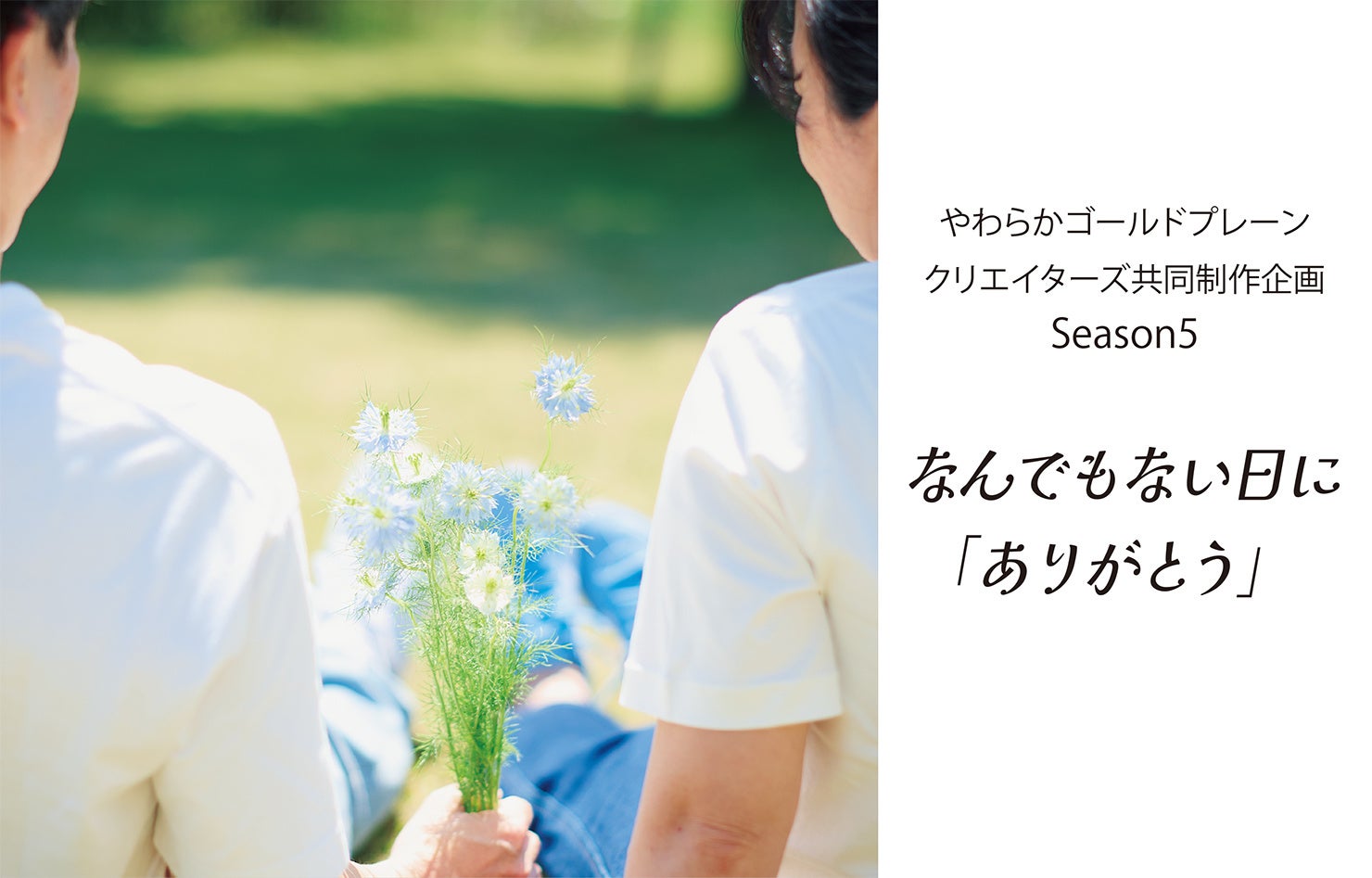 “和の夜スイーツ”始動。三軒茶屋のTEA TATAMO！で、抹茶やほうじ茶を使った贅沢ジェラート「夜ジェラ」15種が新登場