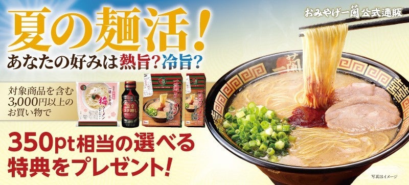 真夏の野外フェスで“超涼めるブース” フジロックに出現！アイスボックス プロデュース「フェスのオアシス」