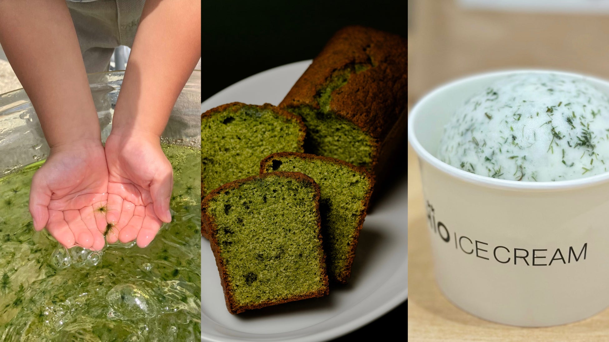 【長野・松本】国登録有形文化財の古民家宿「Satoyama villa 本陣」、初の専属シェフ就任。元「明神館」料理長が作るロカボアで新たなガストロノミー体験を提供。