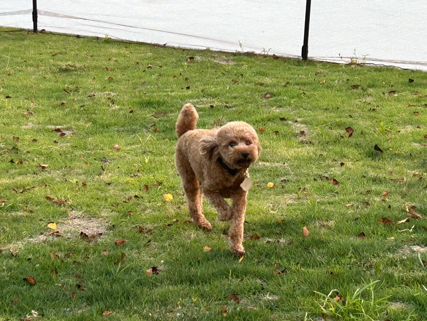 フードロス削減を実現するサステナブルな寿司卸サービスを開始