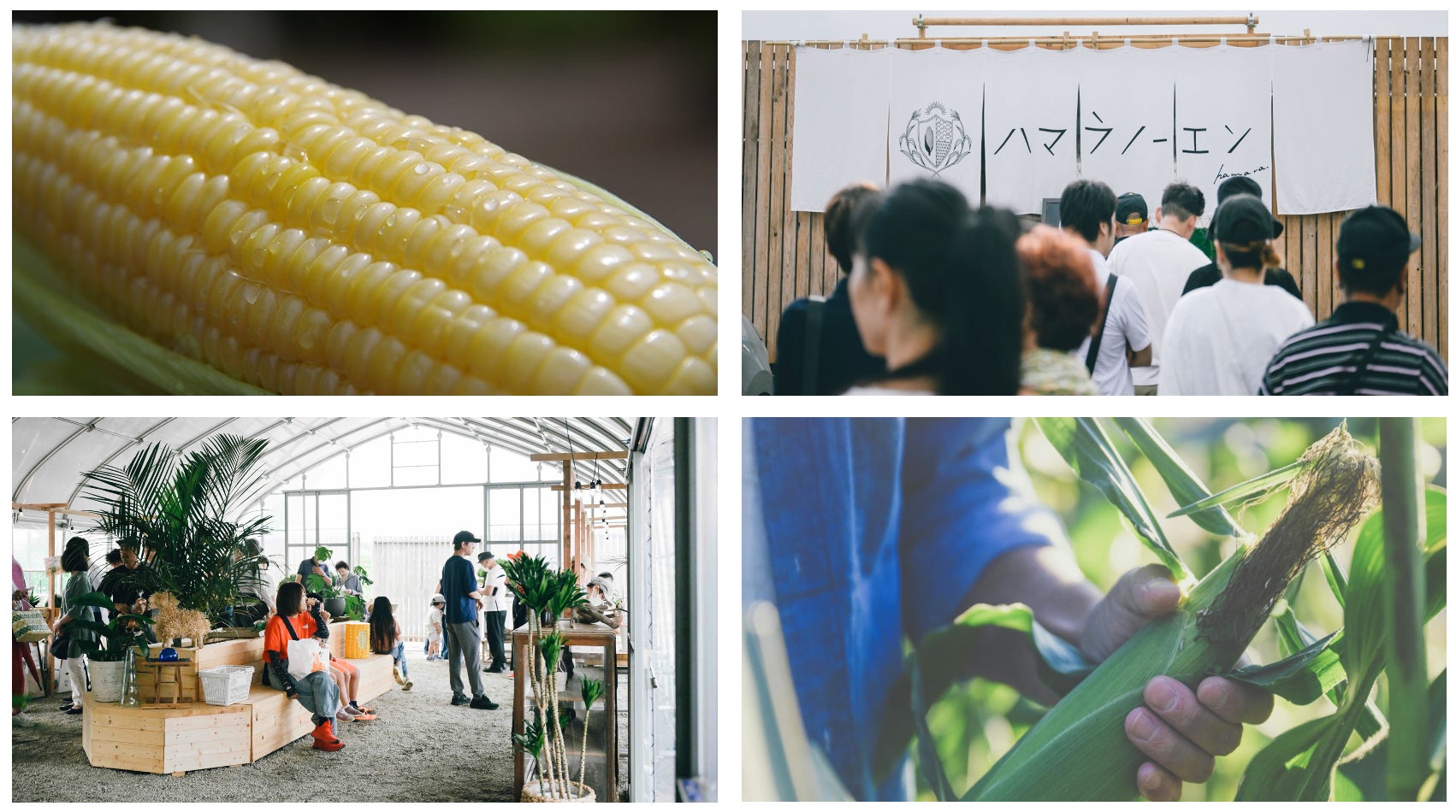 シャンパーニュメゾン「ポメリー」の魅力に迫るダイナミックな夜景と美酒、美食が織り成す極上のひとときを堪能する一夜。シャンパーニュを楽しむ特別な日「セレブラシオン シャンパーニュ」 開催