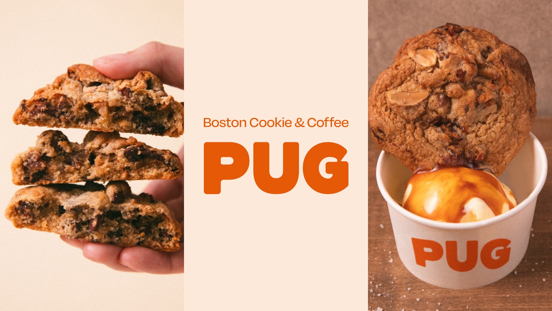 光の竹灯籠で協賛企業募集『アイスフェス&アジアン夜市 SHIZUOKA 2025』静岡市・駿府城公園にて8月開催