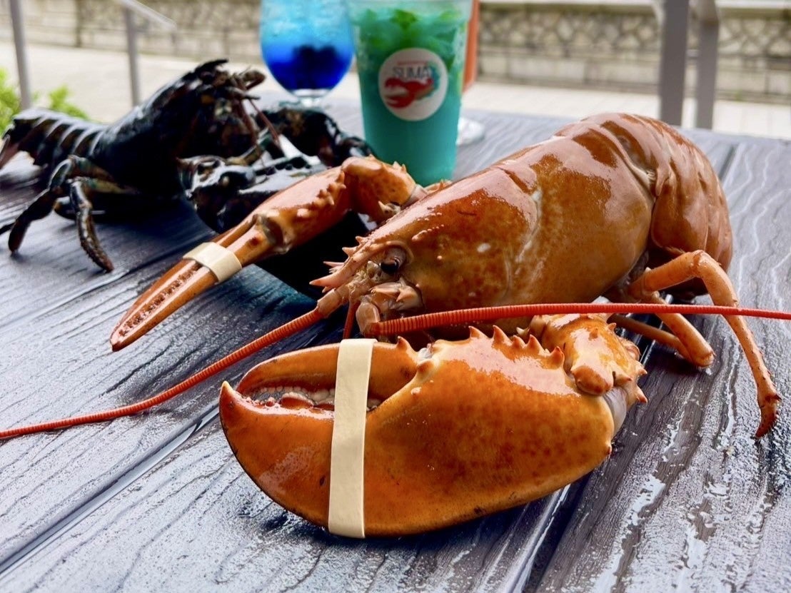 【北海道限定】セブン‐イレブンの手軽に食べられる惣菜「パックデリ」シリーズ「一度に2個買うと30円引き」セールを7月25日（金）より実施！