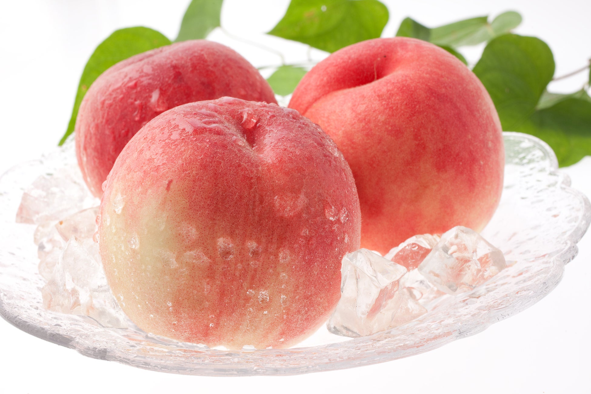 京都発、新ジャンル【立ち呑み蕎麦】誕生! 「百年蕎麦 壽」7月24日グランドオープン