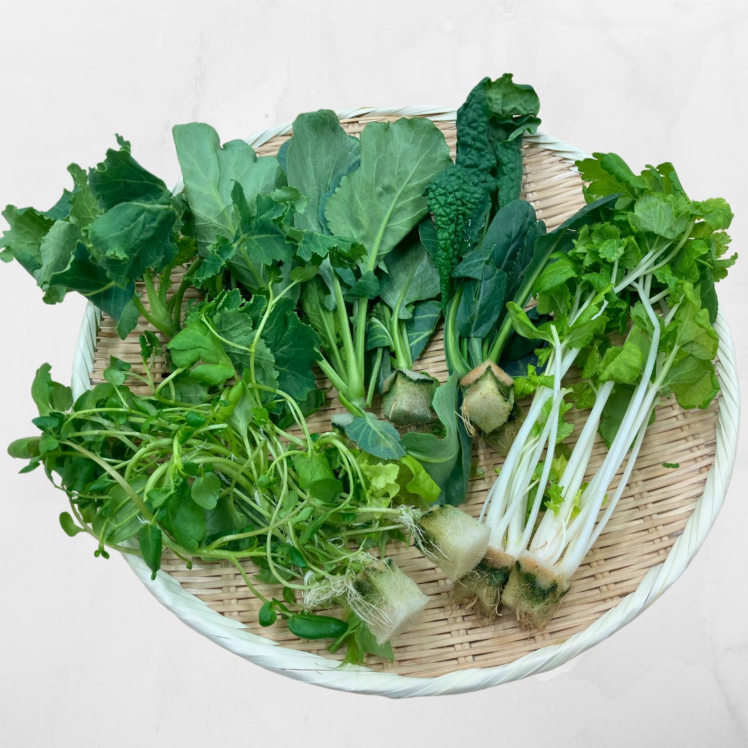 「高知だいすきポケモン」ヌオーのコラボ商品　新発売！