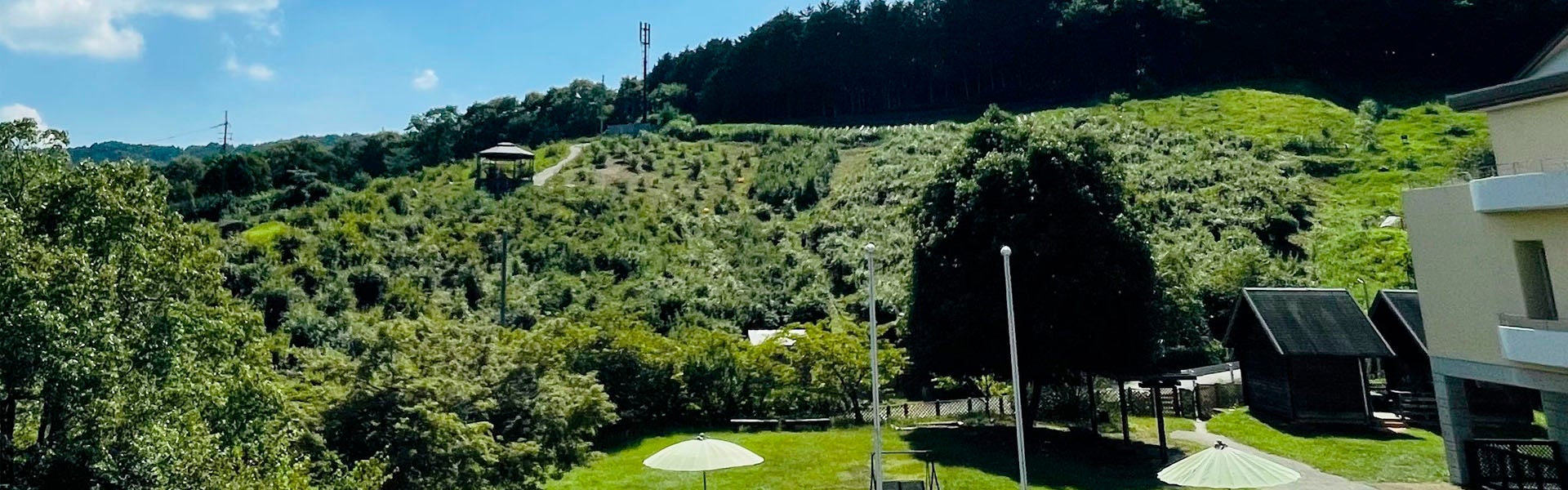 伊藤忠オリコ保険サービス、フローウィング、ロート製薬企業向け健康支援サービス「GENKI(ゲンキ)-NAROu(ナロウ)」を提供開始