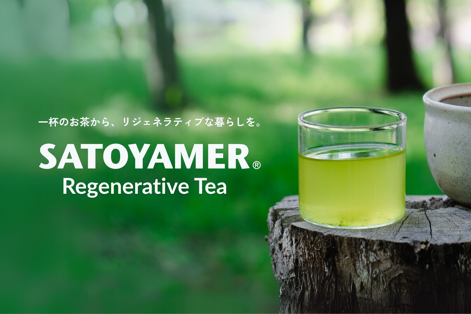 夏の果実マンゴーをふんだんに使用！ 美と滋養を巡らせる〈チャイニーズアフタヌーンティー ～マンゴー美巡茶会～〉 中国料理「チャイナシャドー」8月1日より提供開始