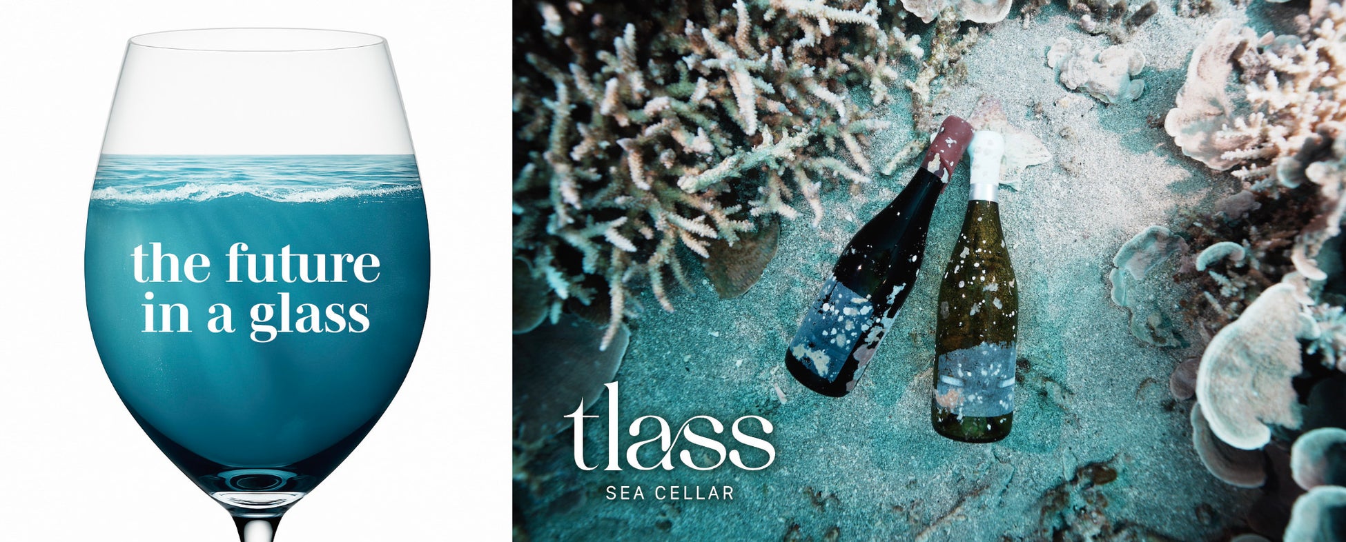 熊本から全国へ！熊本のかくれた逸品を発掘！熊本名産品への第一歩！