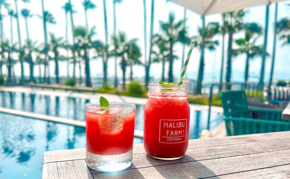 ワインと海の新しい関係が、豊かな海を未来へつなぐ。海底熟成セラー「tlass SEA CELLAR」世界に48本の<2025 2nd Edition>発売!