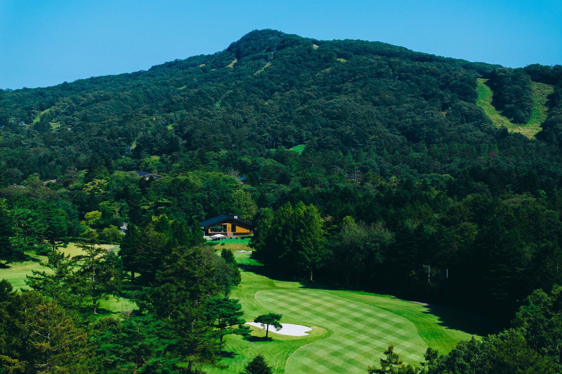 『しみわたるカルピス りんご&洋梨』8月5日発売