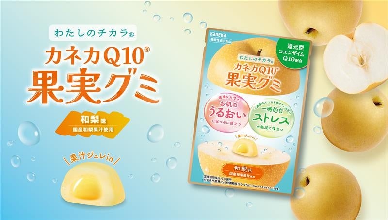 「濃い」シリーズからカレーが登場 国産牛テールの贅沢な旨み「濃いカレー 中辛」 濃いシチュー「贅沢チーズ」(期間限定)「オマール海老&紅ずわい蟹」(期間限定)新発売 「クリーム」「ビーフ」リフレッシュ