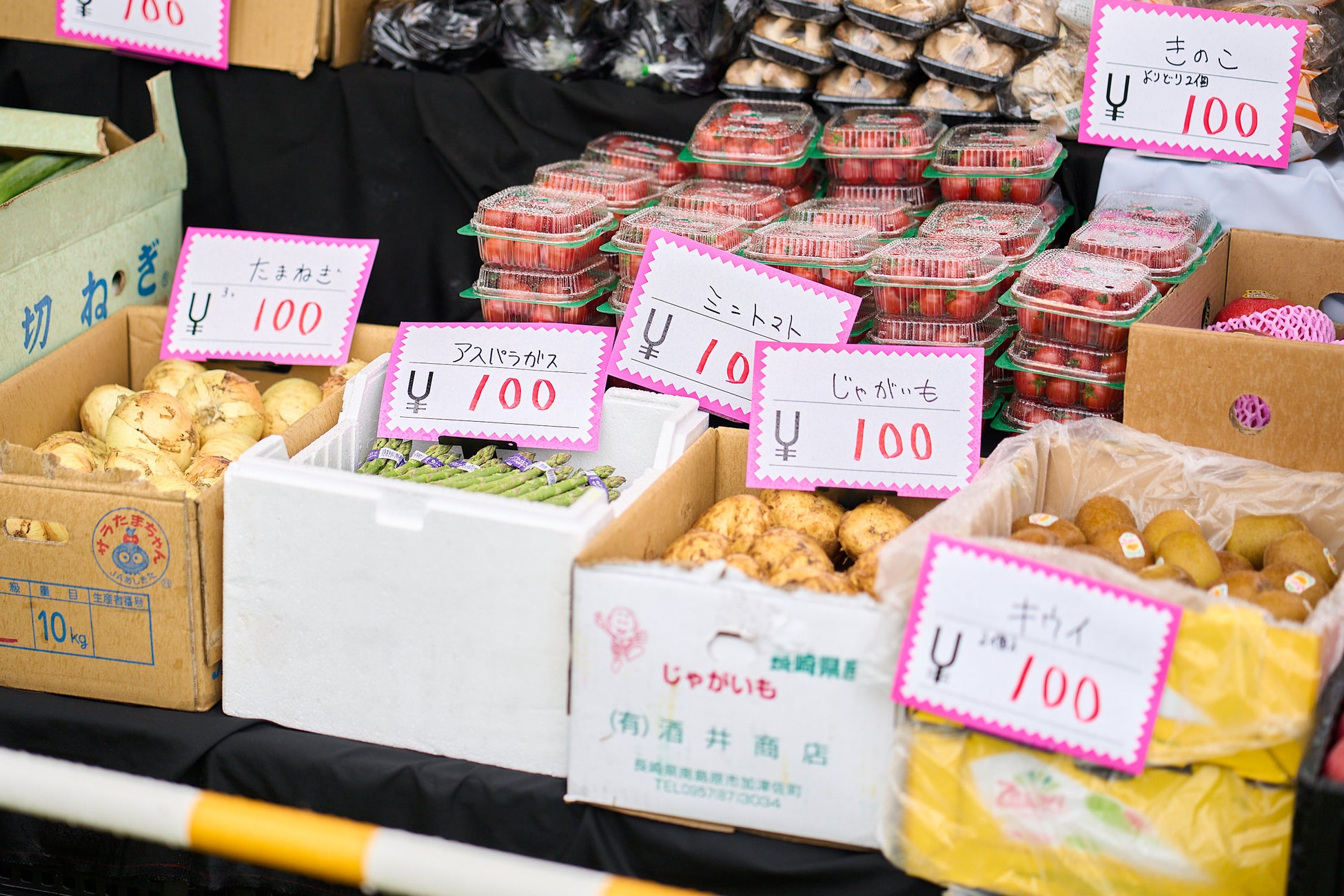 「KOBE PORT TOWER × Dick Bruna TABLE　in KOBE Waterfront」明日開幕！先行して体験した子どもたちが神戸ポートタワーでミッフィーを見つけて大はしゃぎ！