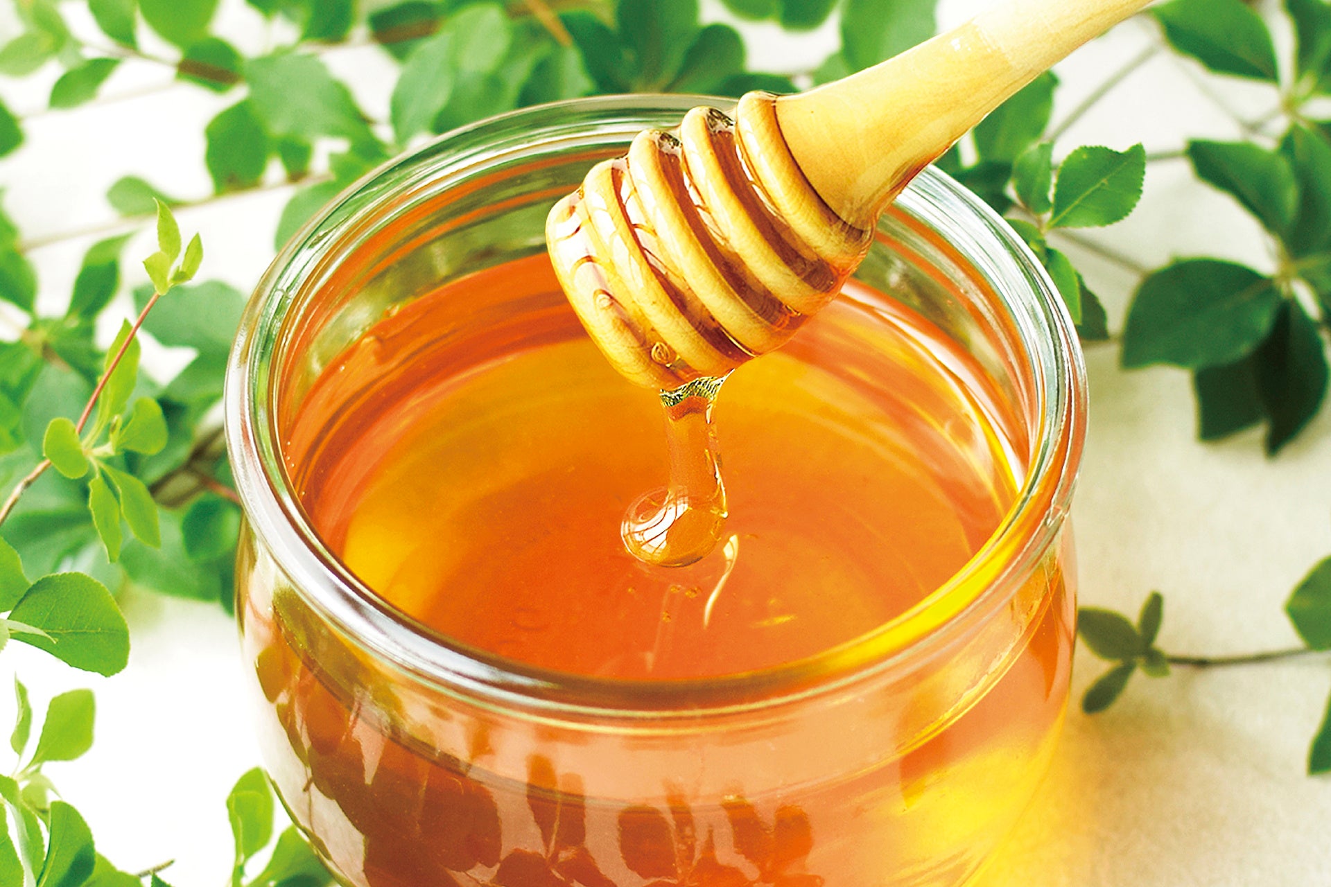 男鹿の美しい夕日のように長く親しまれることを目指した稲とアガベの新定番酒『廻（めぐる）』が誕生 本日2025年7月23日（火）〜29日（水）ISETAN発酵WEEKで先行販売