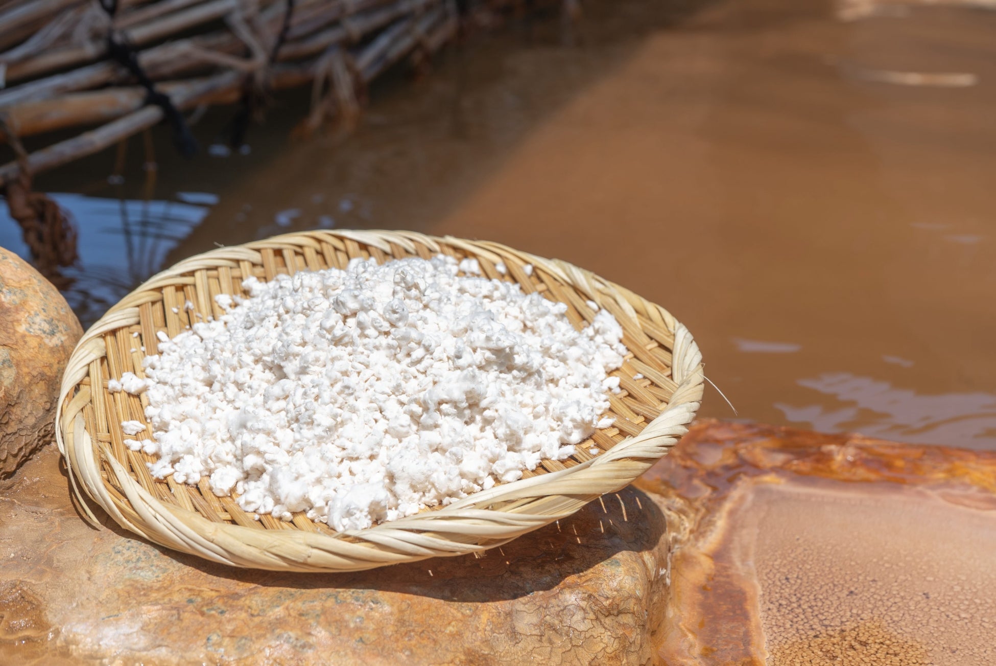 ニューヨーク・ブルックリン発【KATO SAKE WORKS】SAKE（サケ）輸入販売開始