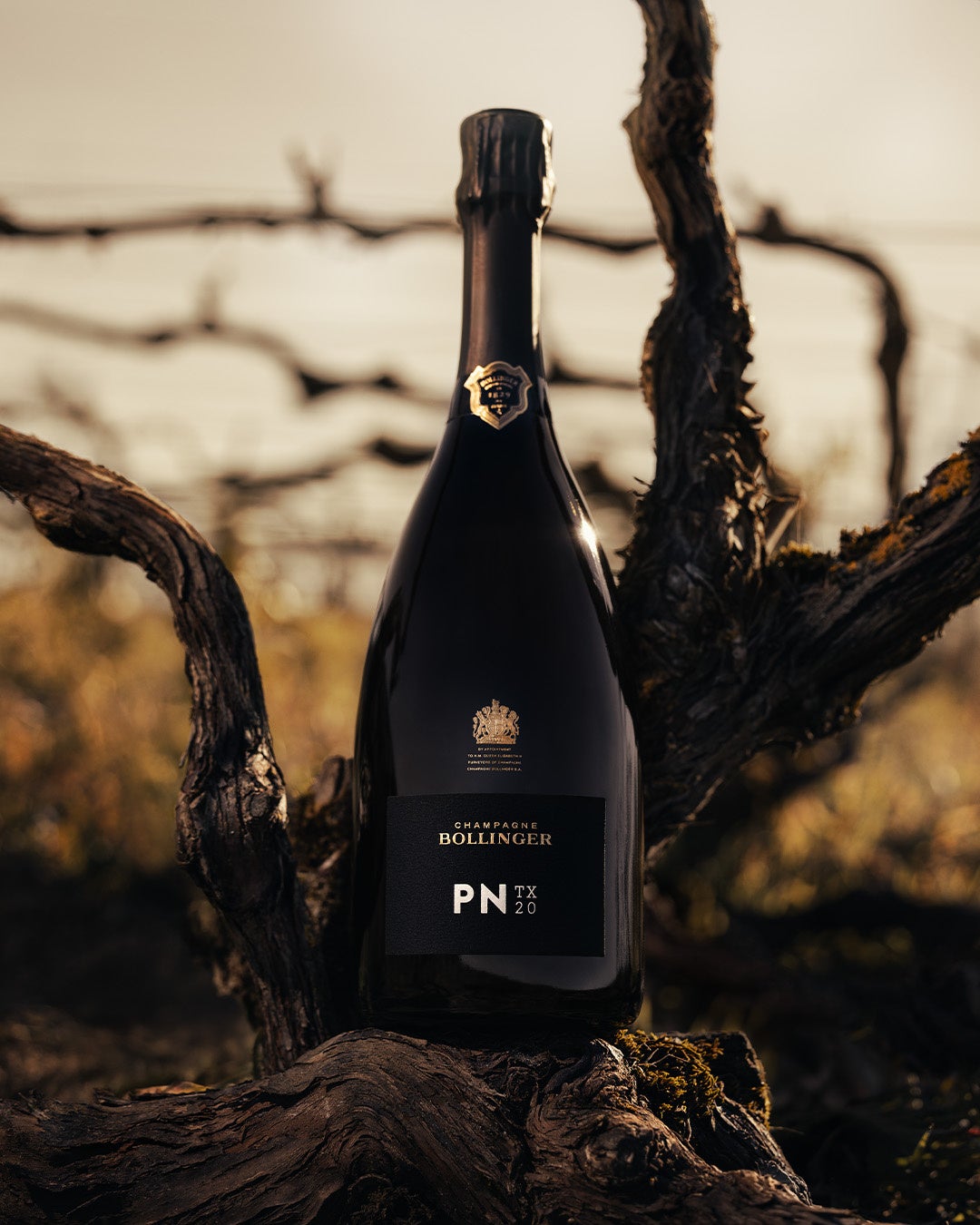 宮のたれの魅力を最大限引き出すための肉と4つのバーにグランドメニューをリニューアル！宮ハンバーグはインパクトのある2段仕様に、ライスバー復活で4つのバーに！