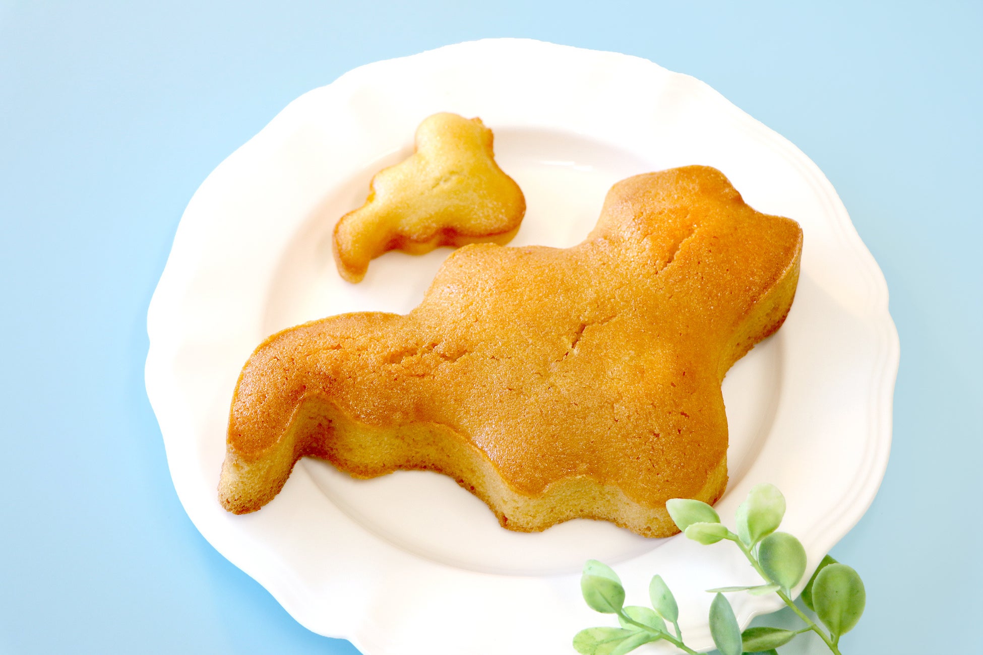 表参道に【生フルーツかき氷】のお店が誕生