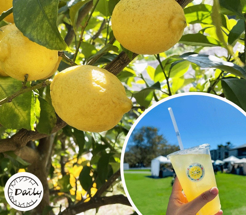 【銀座コージーコーナー】夏も、ポケモンたちの“ピース”なケーキでハッピーに！プチケーキと「ピカチュウのチョコバナナケーキ」を8月1日から発売