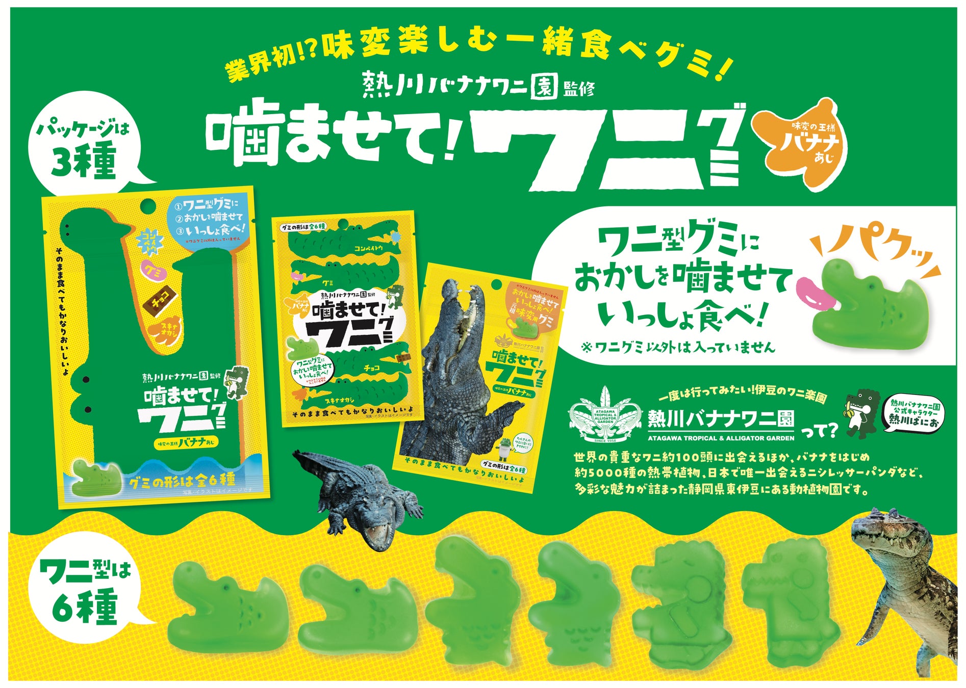 【ビアードパパ】パインアメとの初のコラボレーション商品まるでアメのようなシャリシャリ食感「パインアメシュー」が8月限定で登場！