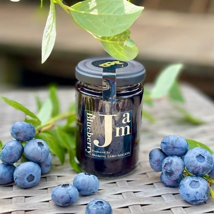 【緊急対応!「カレーライス物価指数」爆上がりの真相を講義で井上学長が解説することを決定】9月27日に渋谷で開校する「カレー大學総合学部」のプログラムに追加!カレー業界のピンチを救うべく活動します!