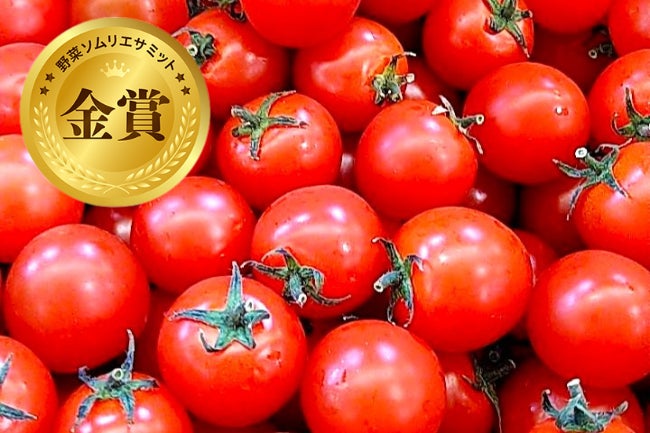 【四十八漁場】夏フェア~各地の漁師から届く熱き想いと夏の旨いがよんぱちに集結!