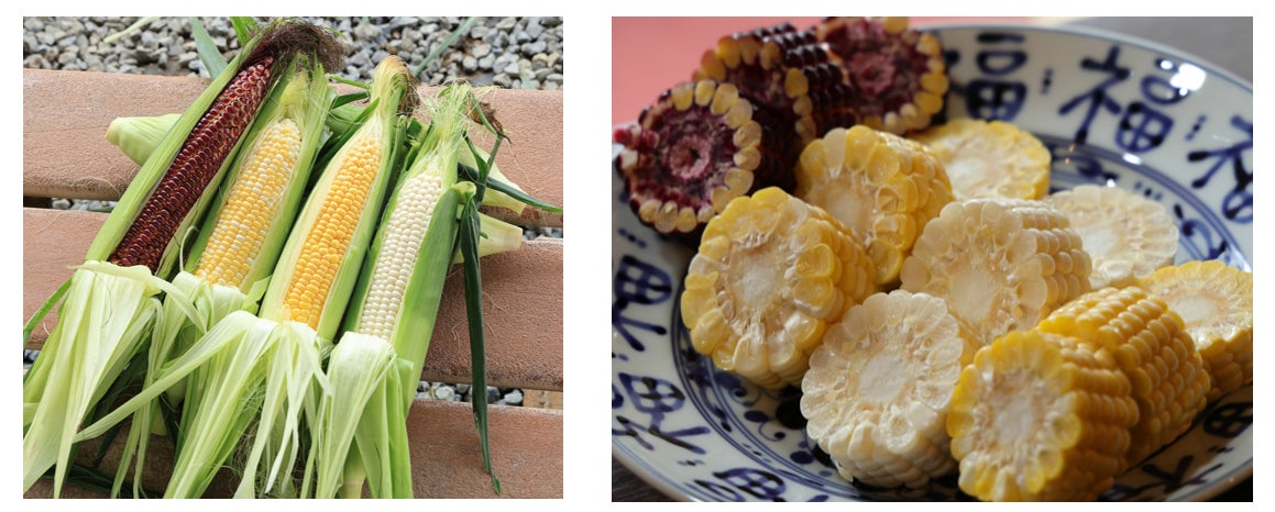 8月1日は“水の日”！ 高校生が1日に飲む水の量は？ 最も飲む水の種類って？【高校生調査】