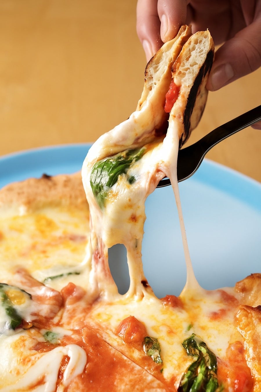 【赤から】2025年8月4日(月)に「赤から小田急町田北口店」がグランドオープン！