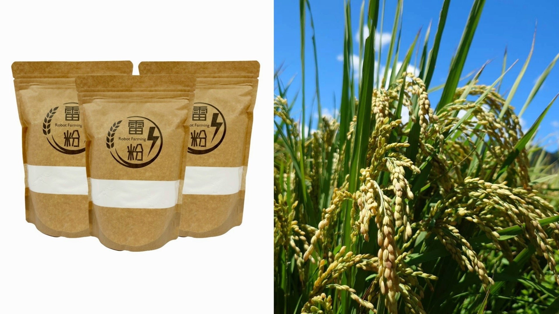 料理にかけるだけでパパっと味付け「なんでもガーリックミックス」「なんでもハーブミックス」８月１１日新発売