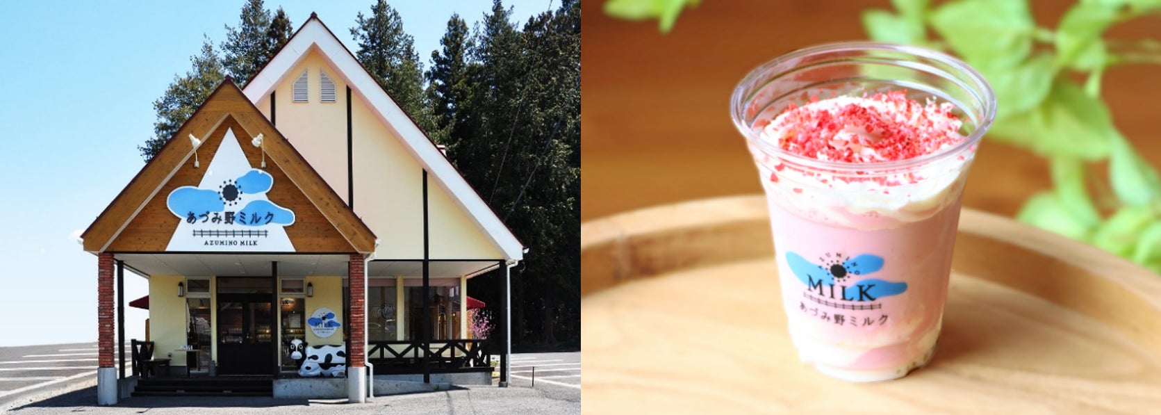 「のんある酒場 ハイボール ノンアルコール」リニューアル新発売