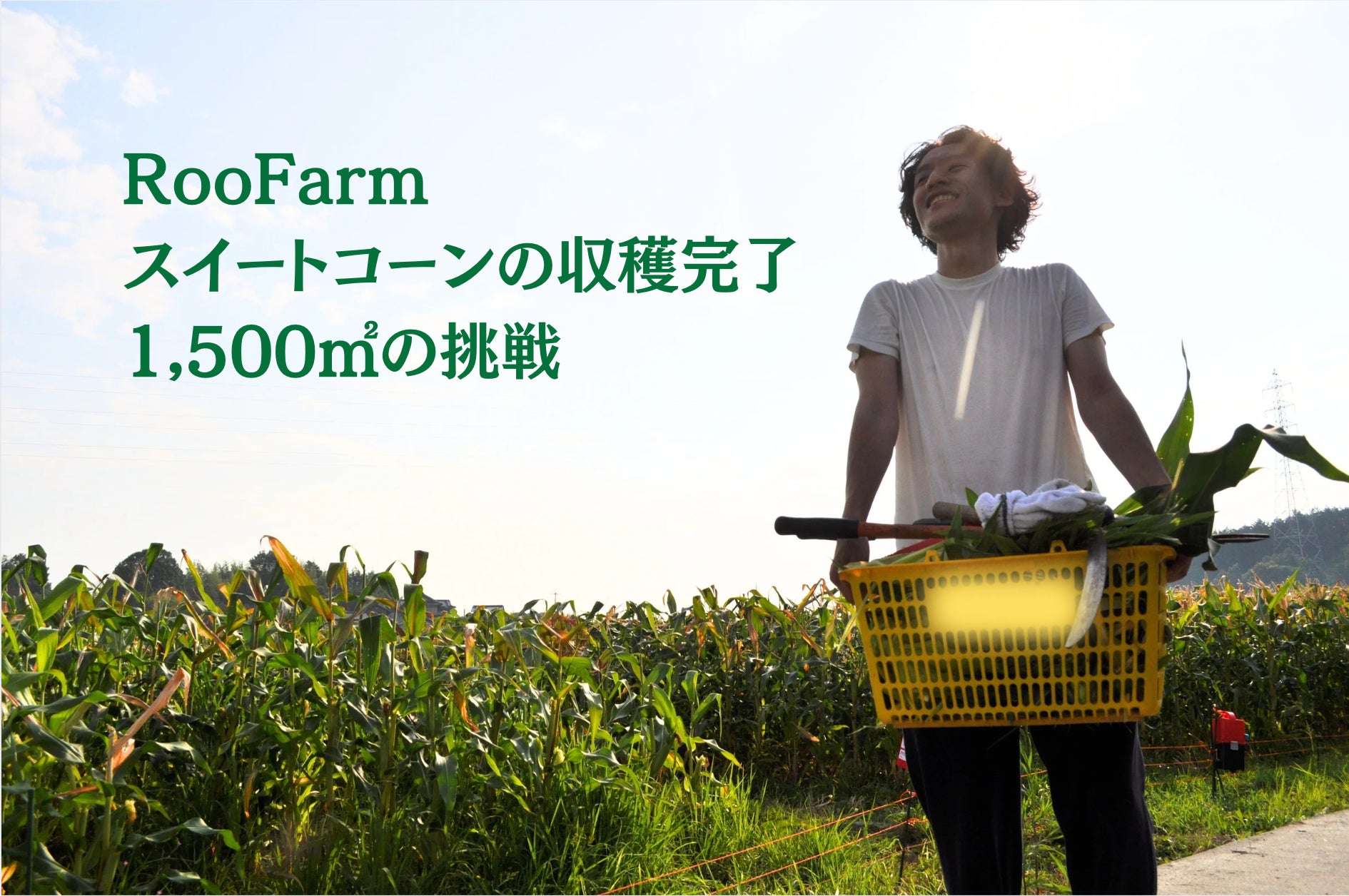 【期間限定】旬の”いちじく”が主役。つぶつぶ食感と爽やかな甘さの新商品晩夏に実る、大人なアップルパイ「いちじくチーズクリーム」