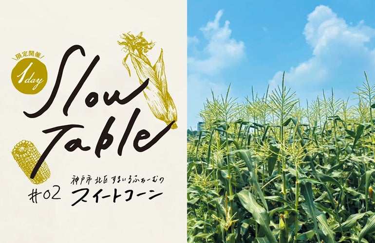 メタセンシング株式会社との資本業務提携