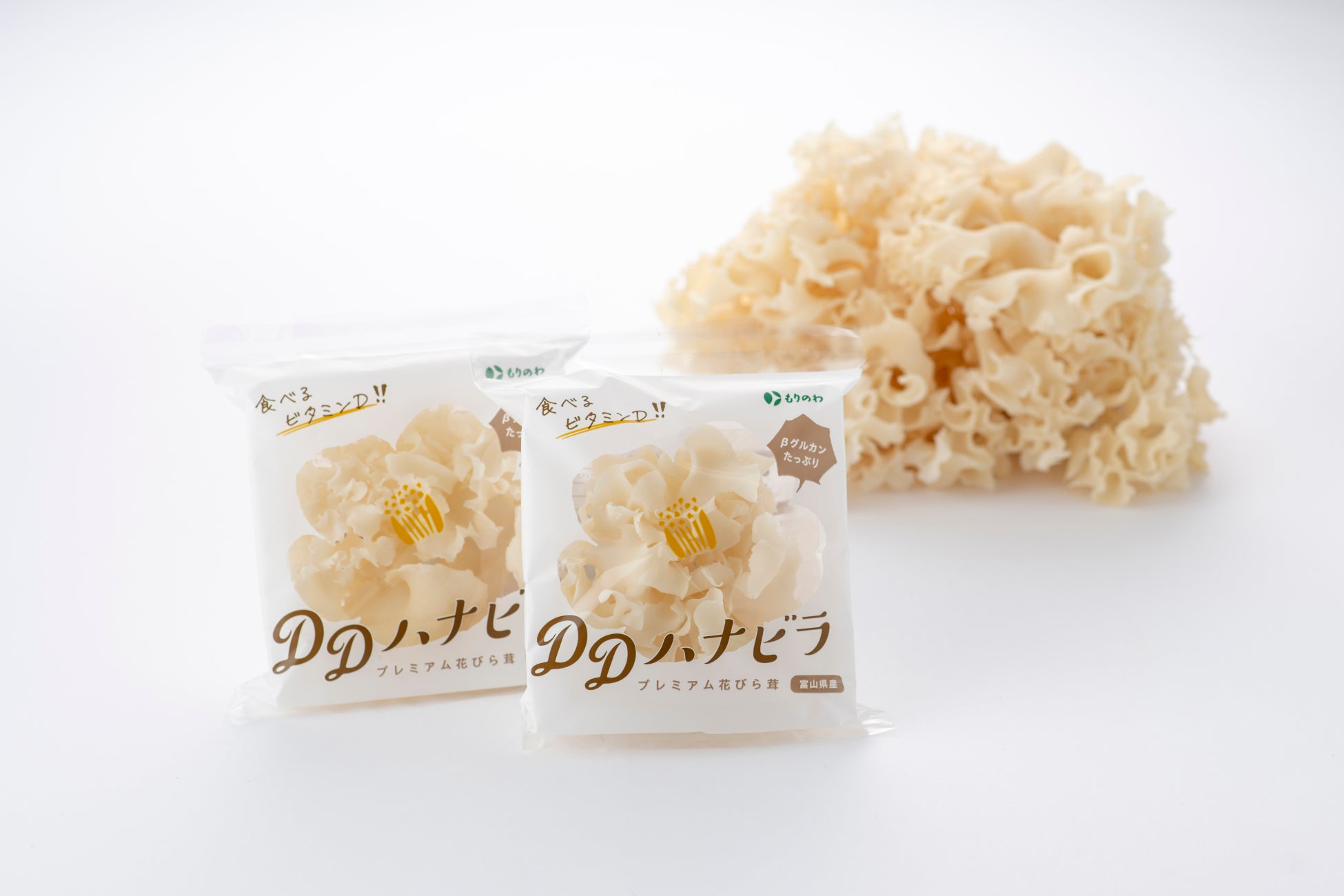 メタセンシング株式会社との資本業務提携