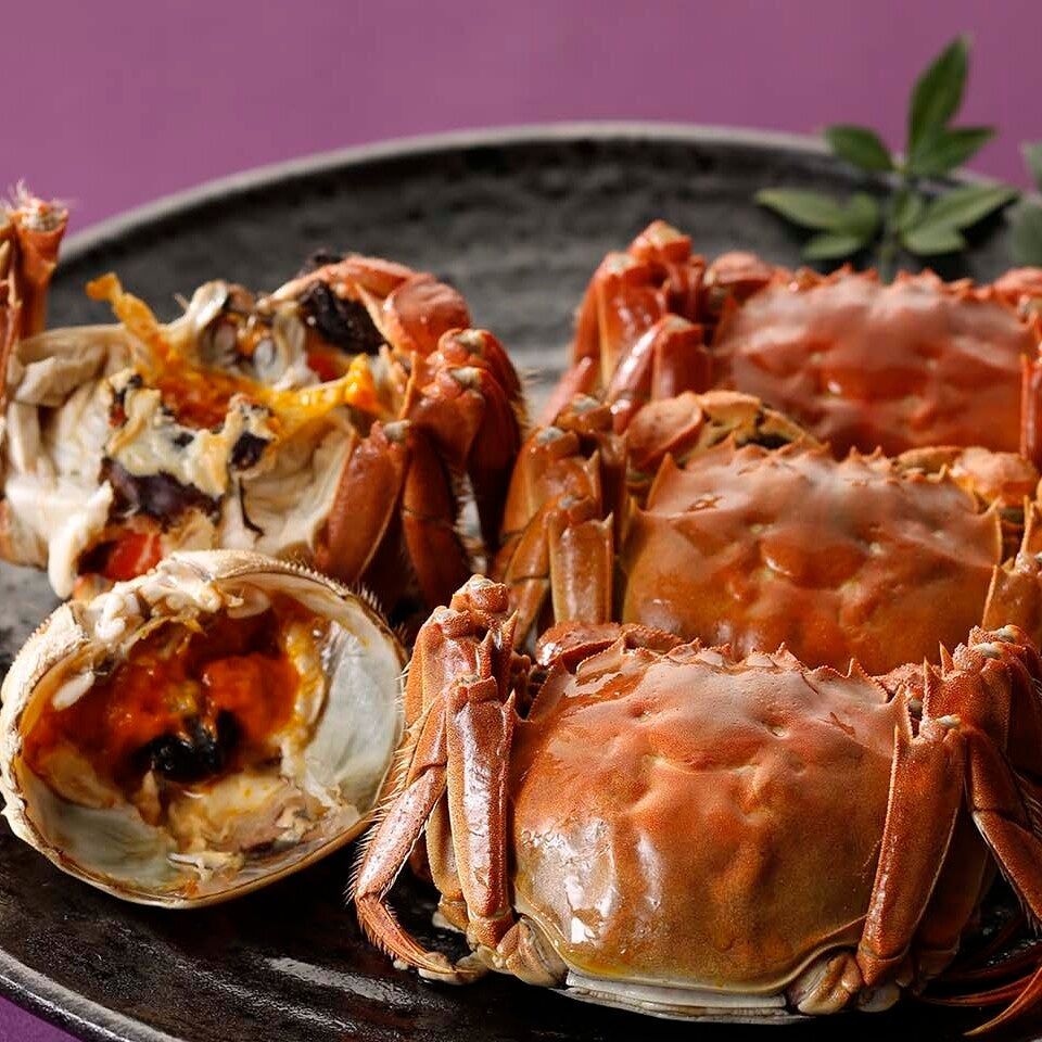 日本初のマッシュルーム料理専門店「MUSHROOM TOKYO」とZENBがコラボ！インスタグラマー・まいてぃ遥さんプロデュースによる特別イベントを開催