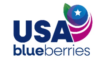 糖度が高くとろける甘さ　大阪産「神立メロン」 をたっぷり味わうご褒美サンドイッチ８月１日より発売開始