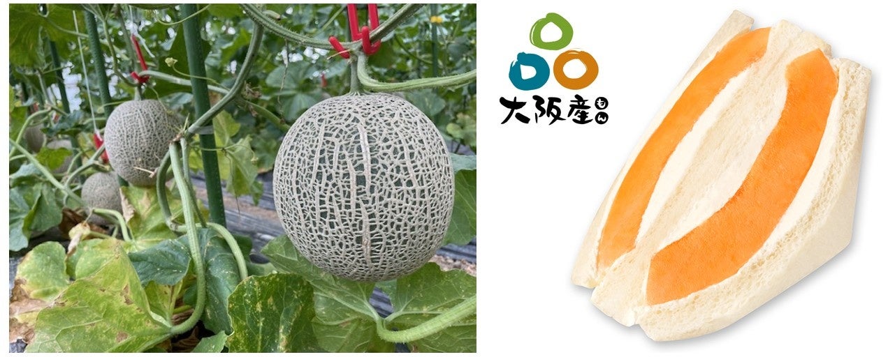 横浜市、リケンNPR、東京都市大学、日清オイリオが連携協定を締結しました