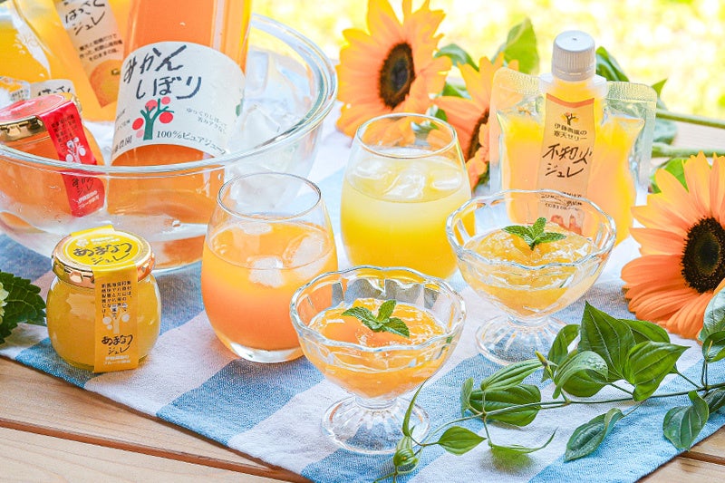 ”サンリオキャラクターズ エンジョイアイドルシリーズ”「推しのためのカスタムケーキメーカー」に4キャラ追加で、「はぴだんぶい」全員集合！7月31日販売開始