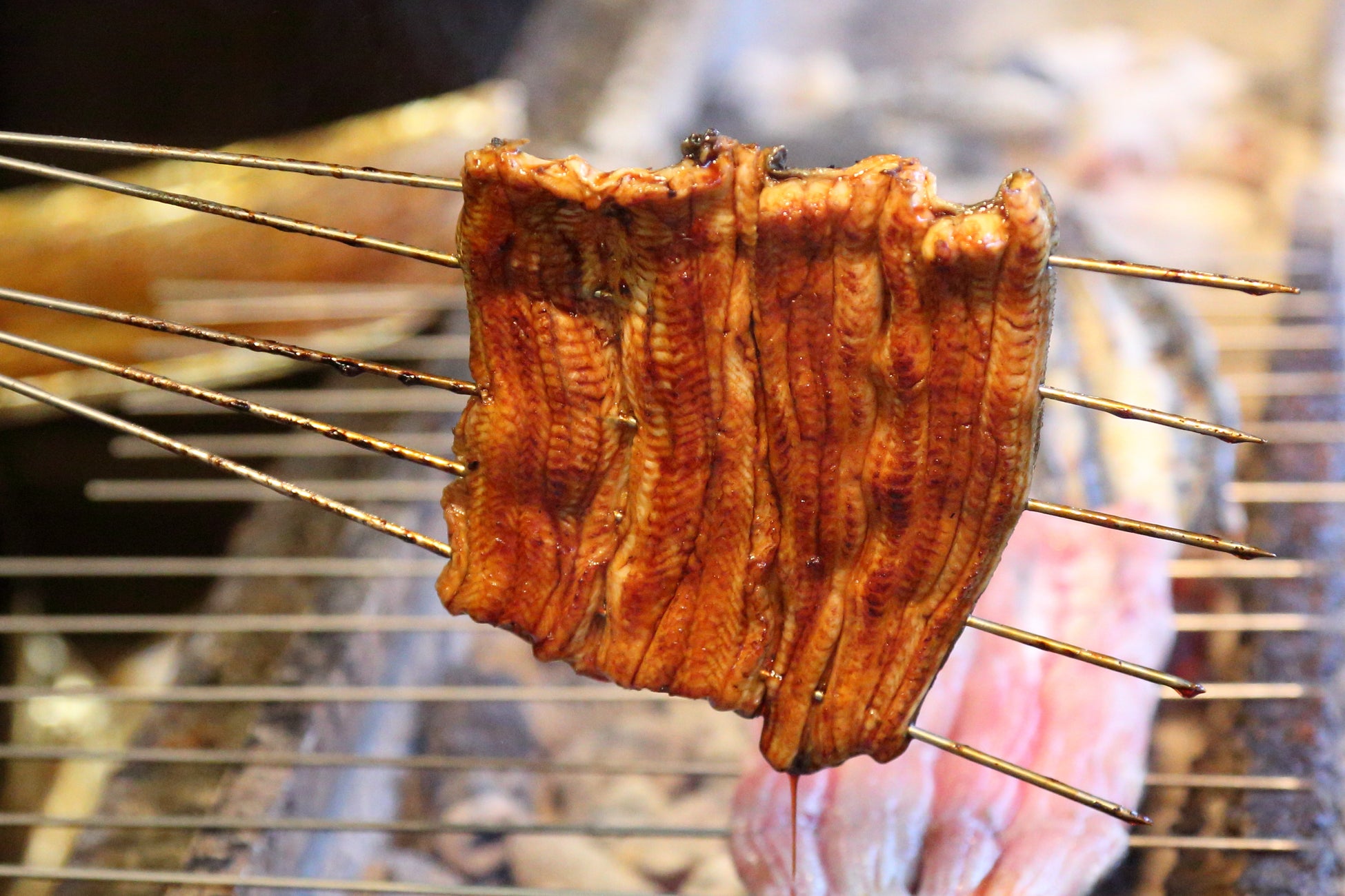 【リーガロイヤルホテル大阪】“日本のキャビアの日”に贈る、一夜限りの至福の体験「キャビアナイト」を開催 ～トークセッション&キャビアコース～