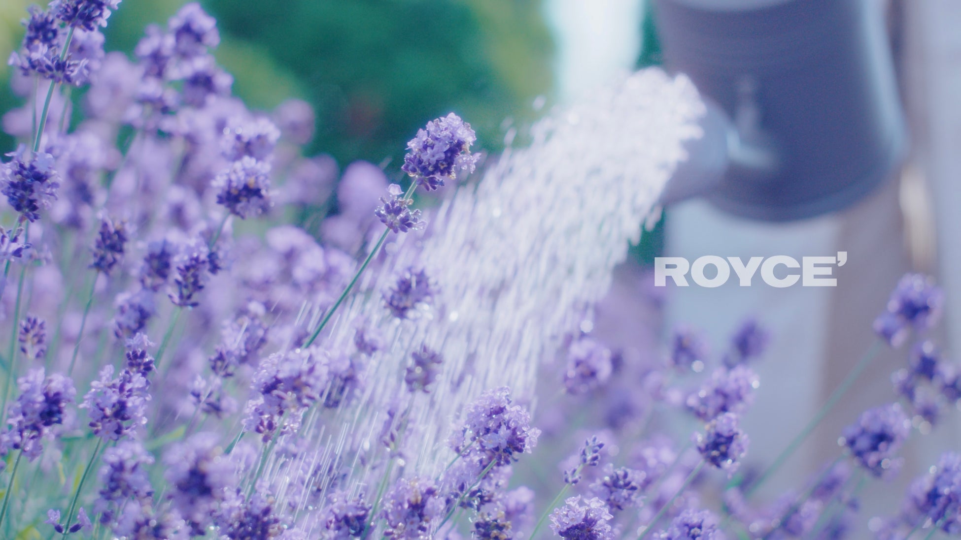 リレー方式ラーメン企画「POPUPラーメン」第３弾は創業61年！博多で長く愛されている豚骨ラーメン店「博多だるま　総本店」8月1日から「三井アウトレットパーク マリンピア神戸」フードコート内で提供開始