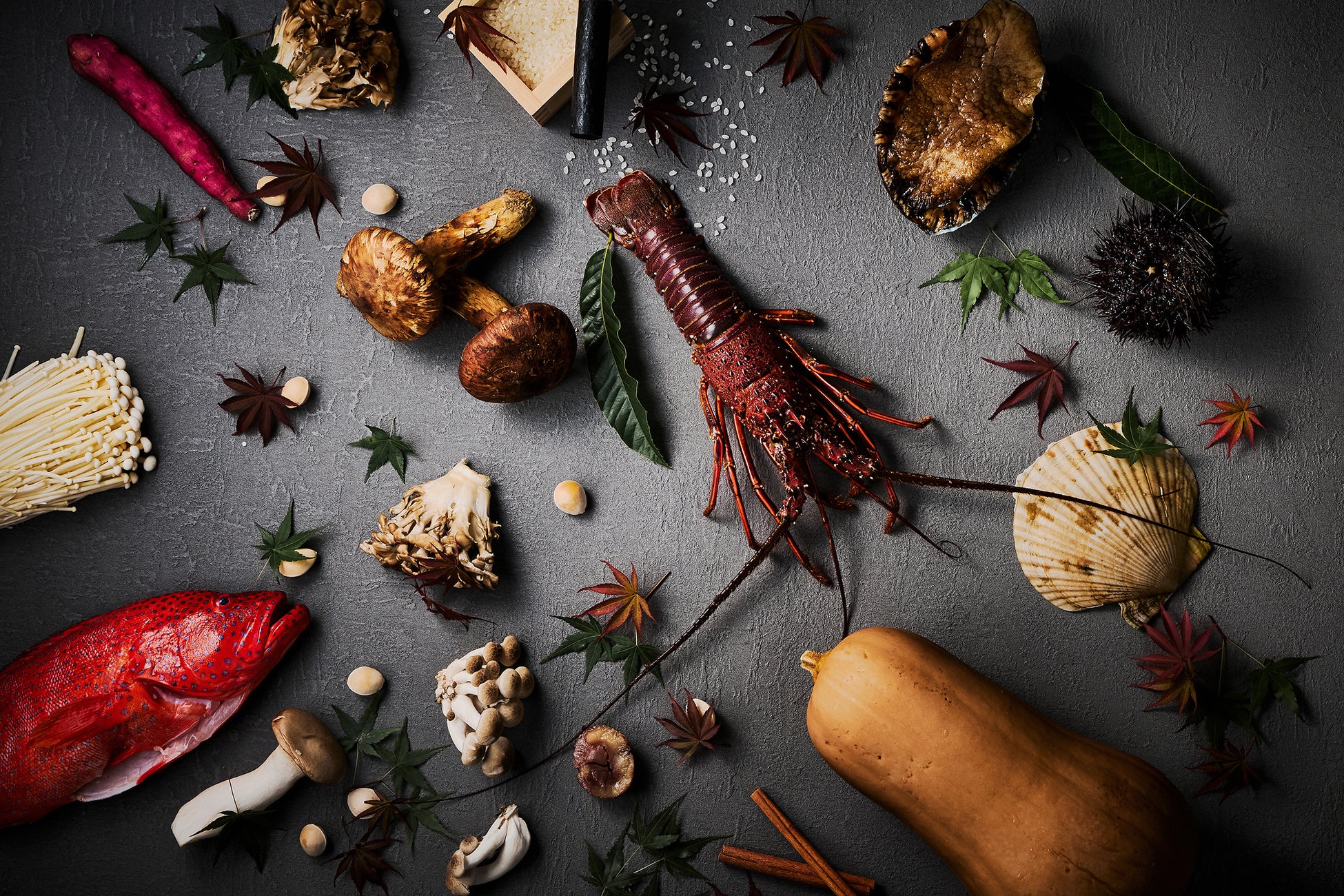 ふっくらとした身の“たら”と香り豊かなポルチーニクリームソースの絶妙なハーモニーが楽しめる「たらのポルチーニクリーム仕立て」が8月1日（金）に新登場