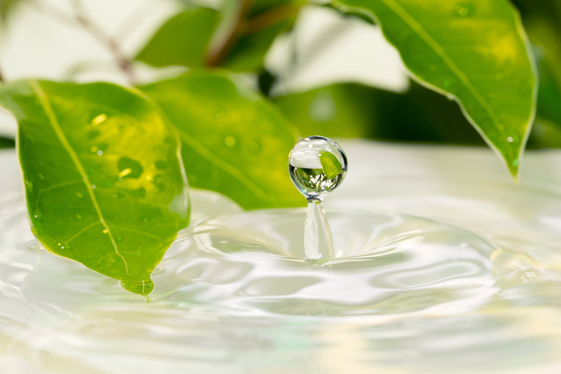 新米を堪能！第10弾イベたま　選べるグルメキャンペーン実施中