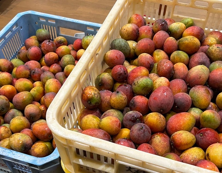 【リニューアルオープン】全国200店舗、東京で行列のできる居酒屋『新時代』が豊田・元町に帰ってくる!2025年8月11日(月)『新時代 豊田元町店』RENEWAL OPEN