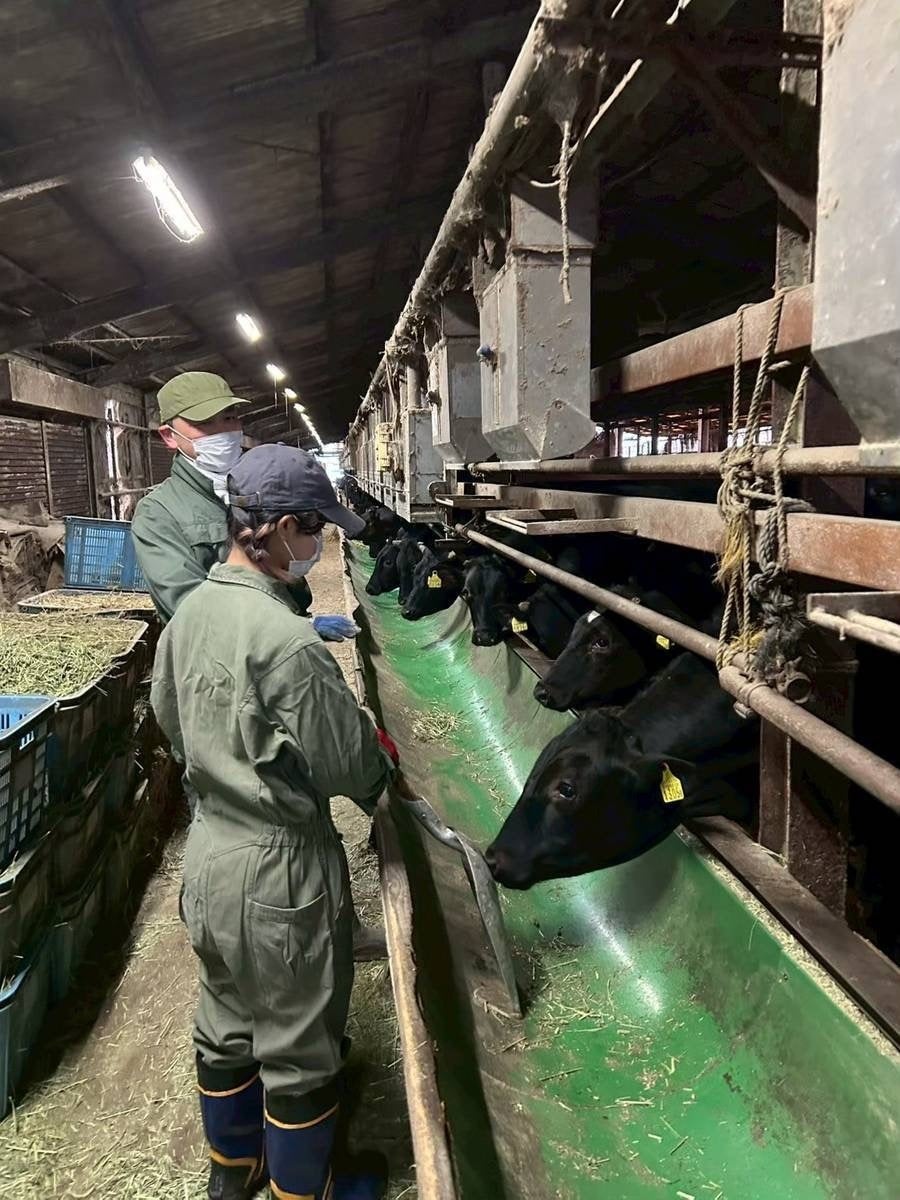 今シーズンの見ごろも好評のうちに終了|大賀ハス園のご紹介!