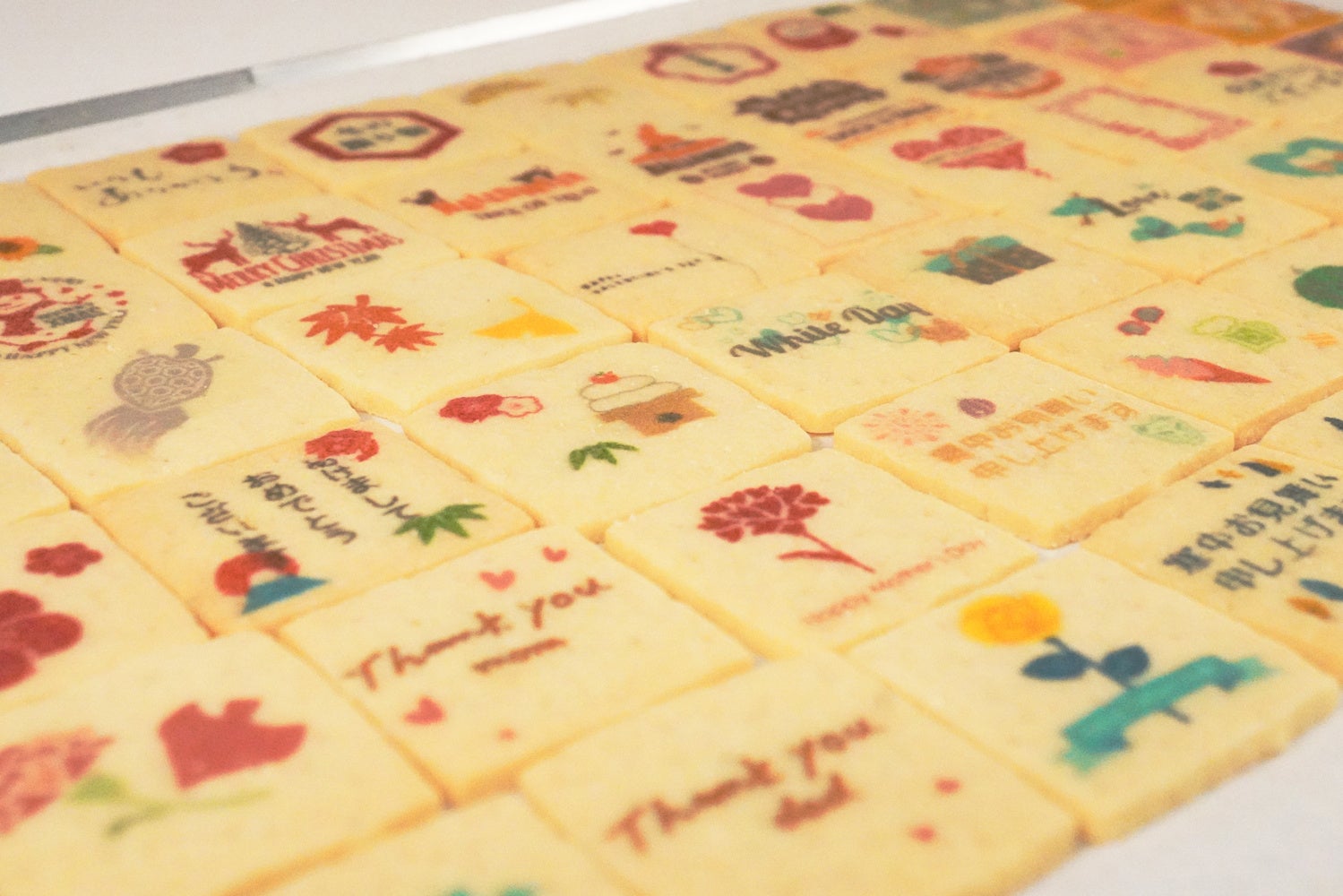 【9月6日(土曜)】大阪市中央卸売市場発の食育イベント『ざこばの朝市』が、大阪・関西万博EXPO2025に出展決定!!