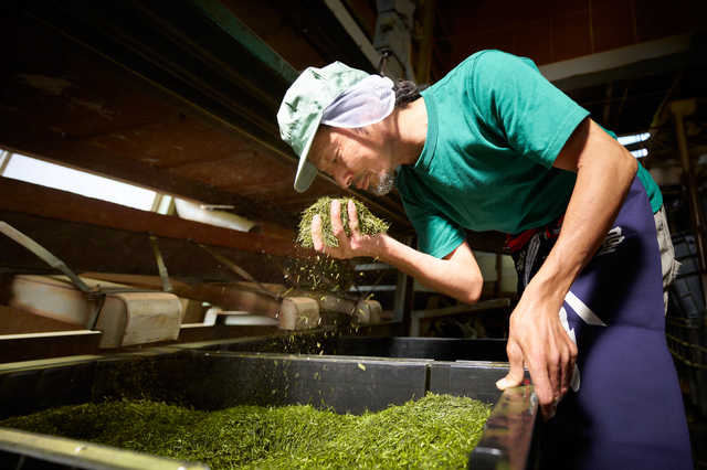 さらにふんわり、くちどけの良い食感に『SHOWAホットケーキミックス600g』2025年9月1日（月）リニューアル