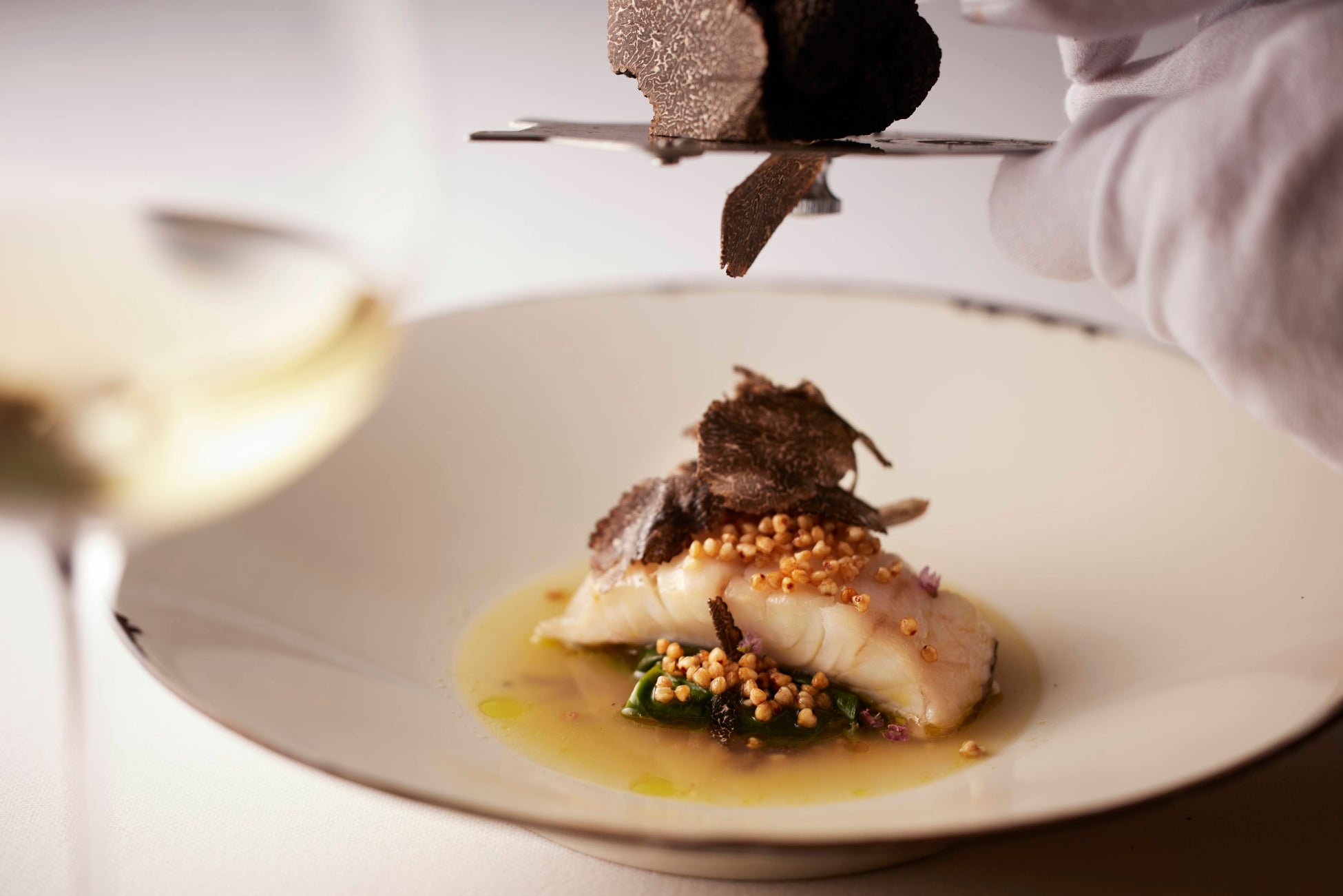 きらっと目が光る?ハンターのようにかっこいい夜行性動物とひんやりかわいい北極動物、好みはどっち?PAPABUBBLEの夏動物シリーズ 8月7日より発売